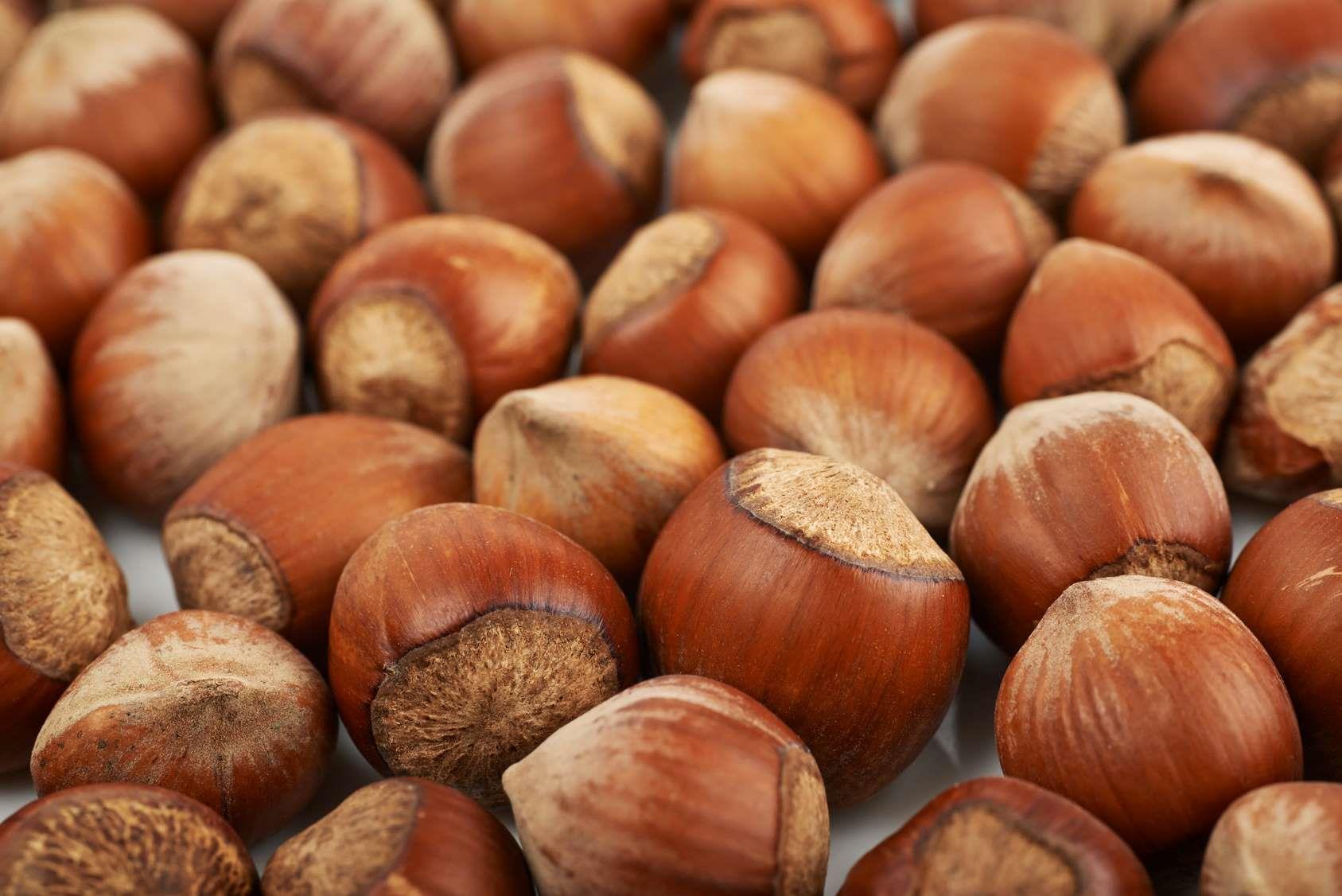 Bio Haselnuss Spirituose 0.1 l, 32vol%