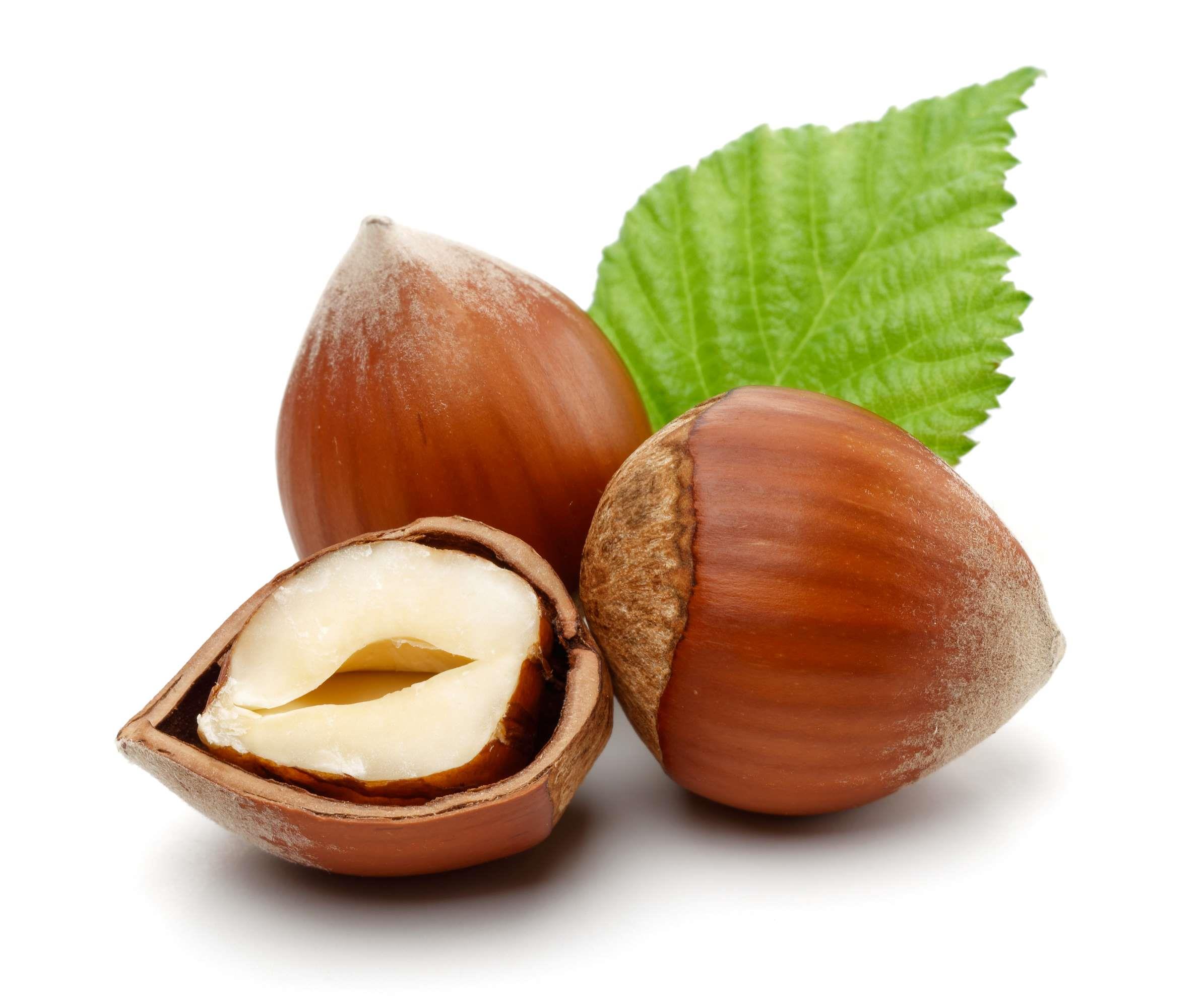 Gerösteter Haselnuss Genusslikör – Aroma wie Nougat mit 18 %