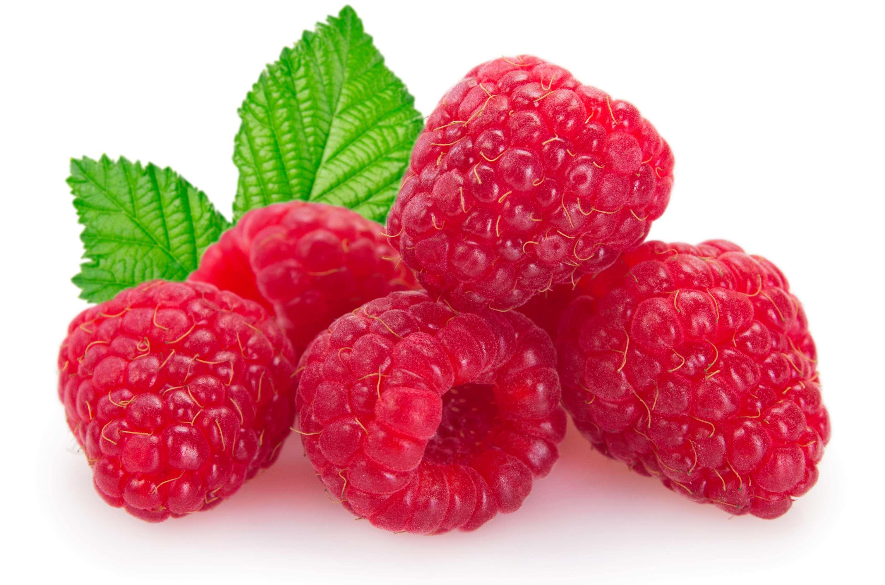 Bio Himbeer-Likör – aromatisch-fruchtig mit 20 % Saftanteil