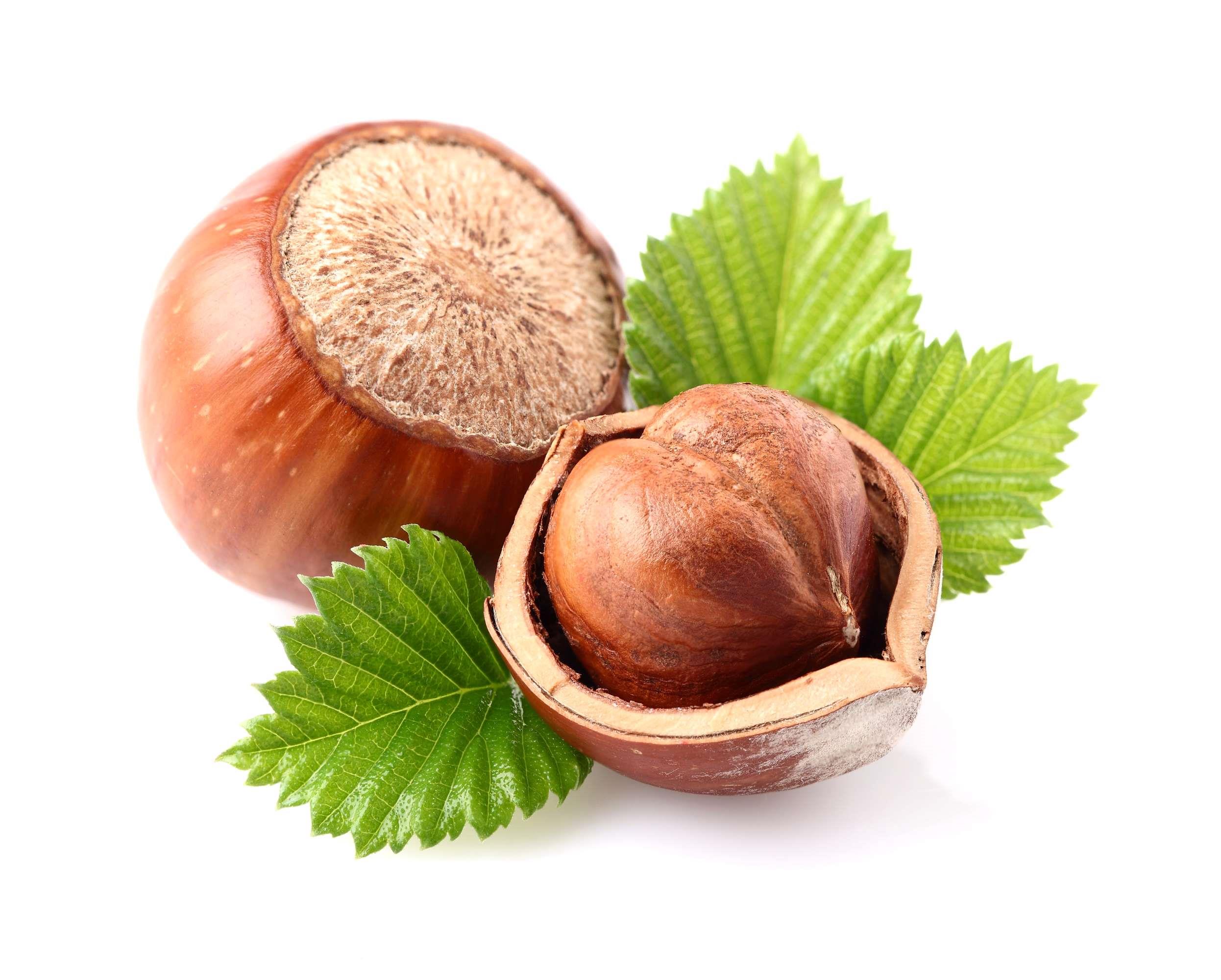 Bio Haselnuss Spirituose 0.1 l, 32vol%