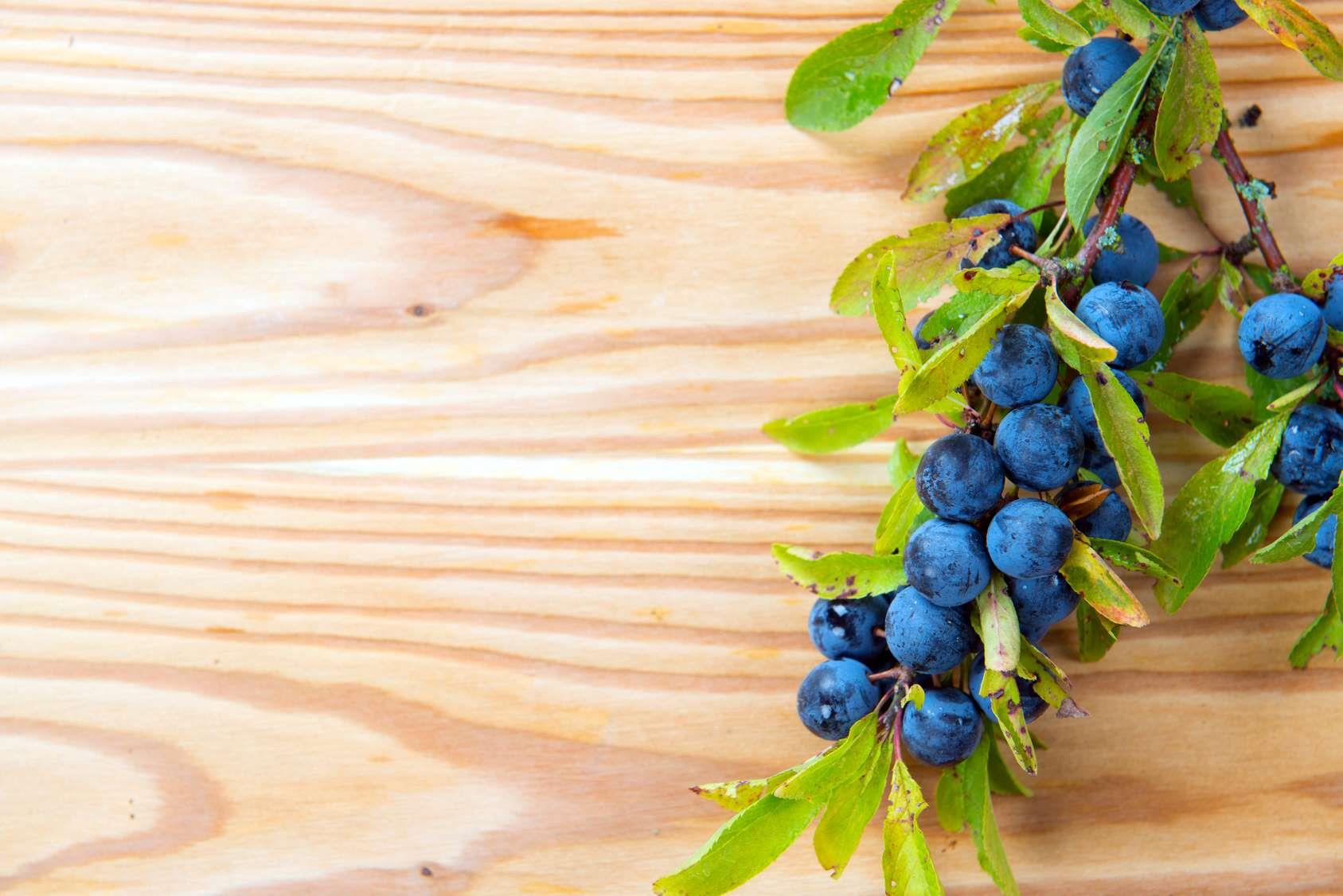 BIO Schlehe Walnuss Likör 0.1 l, 18 vol%